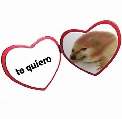 te quiero mucho furryy. lamento no estar tan al pendiente con tus mensajes, no quiero que pienses que ya me aburriste o algo así, para nadaaa, sería difícil que me aburrirás... ¡oh! ♡ Cute Memes, Love Memes, Cartoon Jokes, Reaction Pictures, Mood Pics, Dankest Memes, Hulk, Funny Images, Just In Case