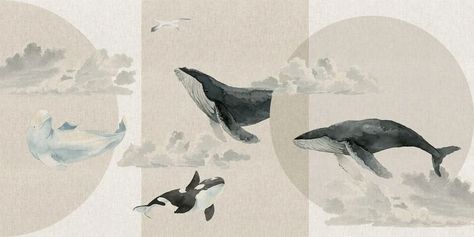 Whale Wallpaper Desktop, Panoramic Wallpaper, Whale Illustration, Wallpaper Estetika, Desktop Wallpaper Design, Mac Wallpaper, Wallpaper Design, Zoology, Ocean Animals