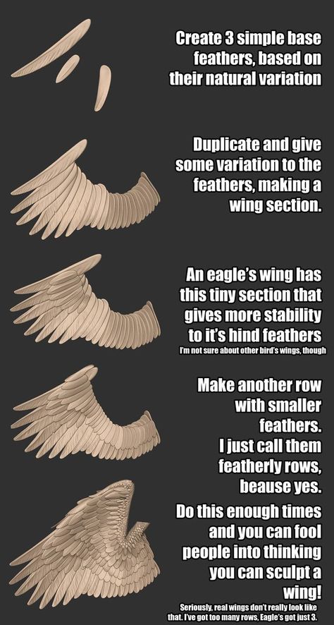 Zbrush Tutorial, Wings Drawing, Digital Sculpting, Digital Painting Tutorials, Anatomy Reference, Drawing Tutorials, Art Tutorial, Digital Art Tutorial, Art Tips