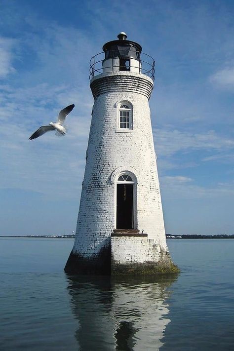 Georgia Lighthouses, Lake Lighthouse, Lighthouses Photography, Nautical Inspiration, Lighthouse Photos, Lighthouse Pictures, Lighthouse Painting, Lighthouse Art, Beautiful Lighthouse