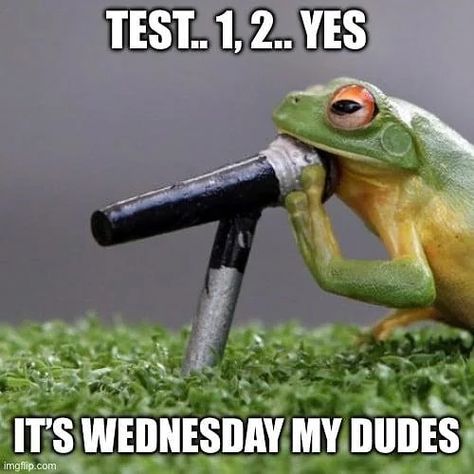 It’s Wednesday my dudes