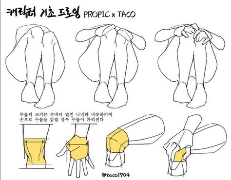 The width of your palm is about the same as the width of your knees, therefore, the hands will cover the knees. Taco1704 Anatomy, Leg Tutorial, Taco Drawing, Animation References, Head Art, Anatomy Tutorial, Body Sketches, Body Reference Drawing, Hand Reference