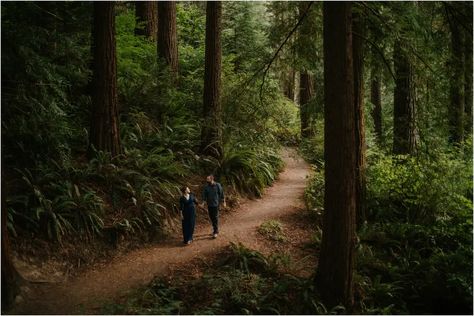 Hoyt Arboretum Anniversary Photos · Katy Weaver Photography Portland Engagement Photos, Hoyt Arboretum, 4 Year Wedding Anniversary, Photoshoot Locations, St Helens, Olympic National Park, Anniversary Photos, Couples Photos, Oregon Coast