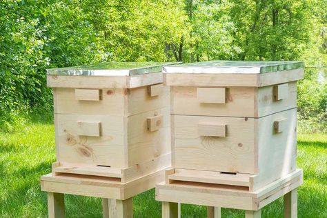 How to Build a Langstroth Beehive Bee Box Plans, Diy Bee Hive How To Build, Langstroth Hive Plans, Diy Beehive, Building A Beehive, Bee Hives Diy, Langstroth Hive, Bee Hive Plans, Ikea Kallax Hack