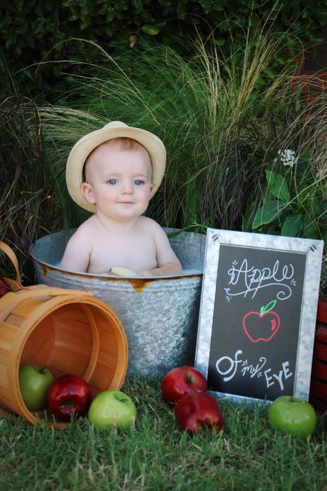 Milk bath photo session. Apple of My Eye set up. #milkbathphotography #appleofmyeye #milkbath #photography #baby #photoshoot Apple Milk Bath Photos, Baby Boy Milk Bath Photoshoot, Milkbath Photography Baby, Apple Orchard Photoshoot Baby, September Photoshoot Ideas Baby, Apple Photoshoot Baby, September Baby Milestone Pictures, Apple Baby Photoshoot, Baby Apple Photoshoot