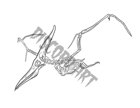 Pterodactyl Skeleton Tattoo, Pterodactyl Skeleton, Pterodactyl Tattoo, Skeleton Tattoos, Arm Sleeve Tattoos, Skeleton Art, Arm Sleeve, Downloadable Art, Skeleton