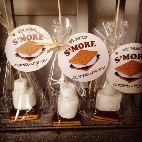 S'mores S’more Love Party Favors, Smores Favors Birthday, S’more Appreciation, Smore Kit Party Favor, Take Home Smores Kit, S’mores Packages, Individual Smore Packs, Smores Gift Bags, S’more Kits Diy