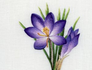 Trish Burr, Needle Painting Embroidery, Needle Painting, Painting Embroidery, Redwork Embroidery, Learn Embroidery, Paper Embroidery, Thread Painting, Silk Ribbon Embroidery