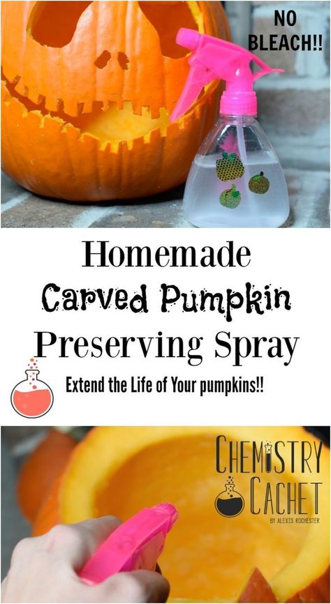 Easy homemade carved pumpkin preserving spray to keep mold away longer! Extend the life of your carved pumpkins this year with Chemistry Cachet! How To Make Carved Pumpkins Last Longer, Preserving Pumpkins For Outside, Preserve Pumpkins For Outside, Carved Pumpkins Ideas Easy, Preserve Carved Pumpkin, Preserving Pumpkins, Minion Pumpkin, Pumpkin Stencils, Pumpkin Carving Party