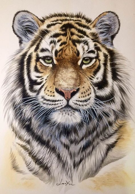 Painting Tiger, Water Color Art, Dekoratívne Vence, Tiger Portrait, Tiger Artwork, Tiger Tattoo Design, Tiger Drawing, Tiger Painting, Tiger Pictures