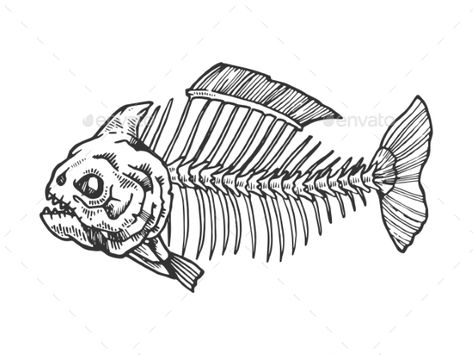 Piranha Fish Skeleton Engraving Vector #Fish, #Piranha, #Skeleton, #Vector Skeleton Fish Tattoo, Fish Bone Drawing, Piranha Drawing, Animal Skeleton Drawing, Fish Skeleton Drawing, Skeleton Engraving, Snake Skeleton Tattoo, Piranha Tattoo, Skeleton Vector