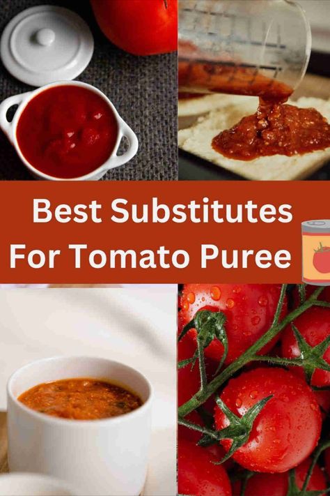 a comprehensive guide to finding the best substitutes for tomato puree Making Spaghetti, How To Make Spaghetti, Tomato Puree, Healthy Swaps, Curry Dishes, Pasta Sauces, Healthy Homemade, Vegetarian Recipes Healthy, Egg Free