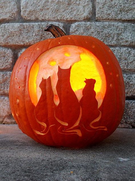 Pumpkin Carving Patterns | HGTV Easy Pumpkin Carving Patterns, Pumpkins Carving, Pumpkin Sculpting, Garden Snake, Unique Pumpkin Carving Ideas, Cat Pumpkin Carving, Cat Pumpkin Design, Pumpkin Carving Stencils Free, Pumpkin Inspiration