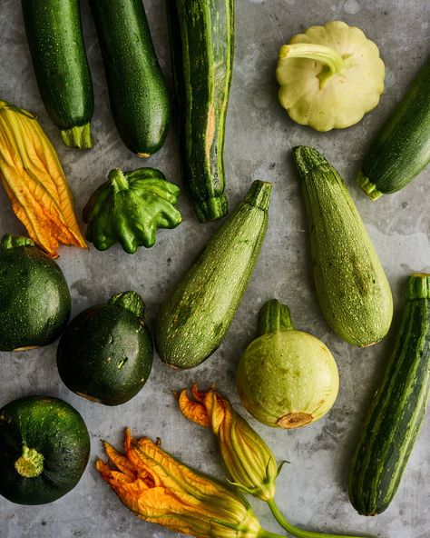 Grilled Zucchini Boats, Zucchini Ideas, Zucchini Pasta Sauce, Watermelon Farming, Freezing Zucchini, Easy Zucchini Bread, How To Cook Zucchini, Spiralized Zucchini, Avocado Plant