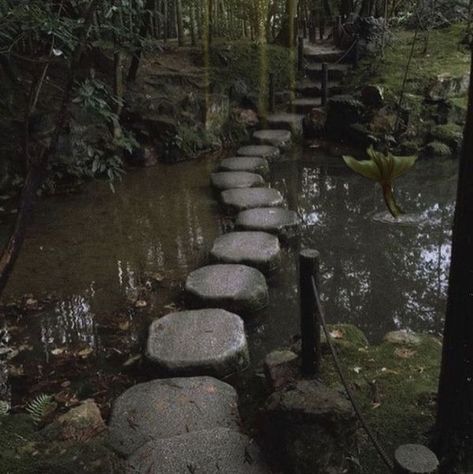 In The Middle, The Middle, Trees, Forest, Running, Tumblr, Stone, Water, Plants