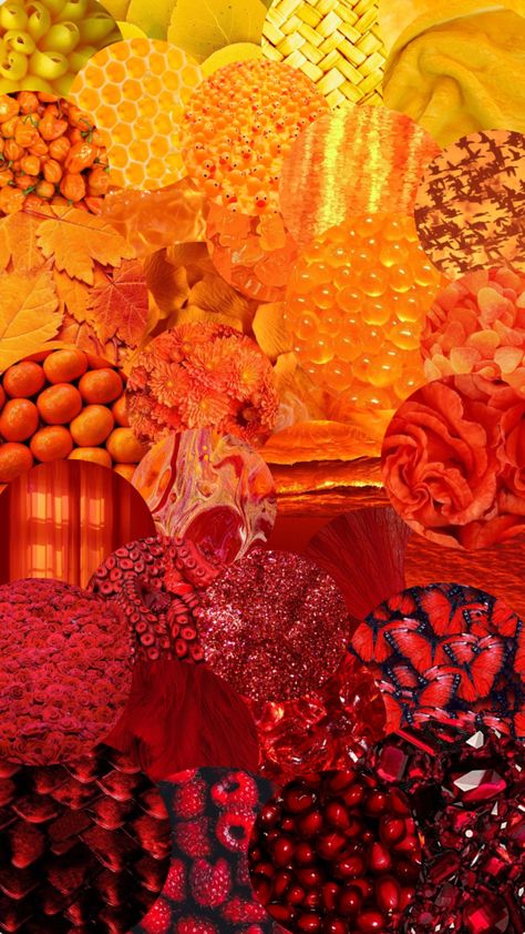 red to yellow #red #orange #yellow #redaesthetic #orangeaesthetic #yellowaesthetic #gradient Orange And Red Aesthetic Vintage, Red And Yellow Aesthetic Vintage, Red Orange Yellow Aesthetic, Red Yellow Aesthetic, Red And Yellow Aesthetic, Fire Fairies, Color Trios, Orange Things, Fire Fairy