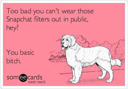 Snapchat Filters Quotes, Filter Quotes, Insulting Quotes, Face Quotes, Hilarious Quotes, Silence Quotes, Catchy Phrases, Alcohol Humor, Cuss Words