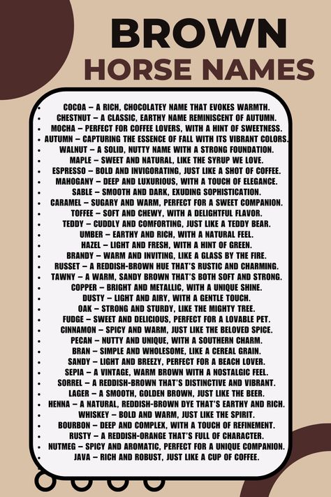 Have you recently welcomed a beautiful brown horse into your life?

Congratulations! Whether you’re a new owner or an experienced equestrian, choosing the perfect name for your four-legged friend can be both exciting and challenging.

After all, their name will stay with them for years to come. If you have a brown horse, then you know there’s something special about these magnificent creatures. Cute Horse Names, Female Horse Names, Male Horse, Female Horse, Names Unique, Golden Horse, Horse Things, Name Inspiration, Horse Names