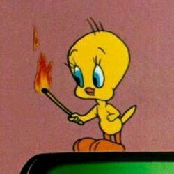 Tweety Bird Pfp, Tweety Aesthetic, Looney Tunes Aesthetic, Looney Tunes Cartoons, Cartoon Profile Pictures, Picture Icon, Good Cartoons, Old Disney, Pinturas Disney