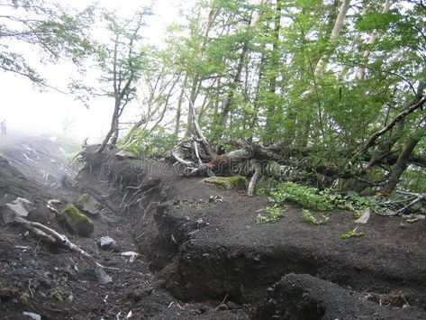 Land Slide - Natural cataclysm. Land slide in forest at the altitude of 2500m on , #Affiliate, #forest, #slide, #altitude, #Slide, #Land #ad Land Slide, Slide In, Stock Images Free, Stock Vector, Photo Image, Forest, Stock Photos, Plants, Pattern