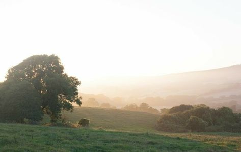 Photography Classroom, Countryside Photography, Photography Workshop, Online Photography, Photography Workshops, English Countryside, Pride And Prejudice, Jane Austen, Country Life