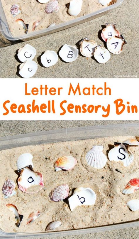 Music Theme Preschool, Ocean Activities Preschool, Ocean Lesson Plans, Ocean Theme Preschool, Sea Activities, Sensory Activities Toddlers, Ocean Activities, Summer Preschool, Sea Crafts