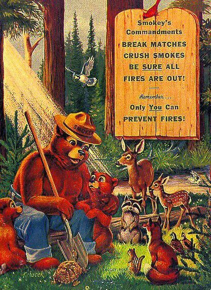 Smokey The Bear Wallpaper, Smokey The Bear Art, Smokey The Bear Poster, Smoky The Bear, Smoky Bear, Lodges Design, Simply Aesthetic, Montana Style, Smokey The Bear