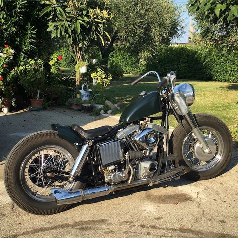 GalluzHead...... Be a Man ride a Pan : H-D Shovelhead FLH Bobber for sale Flh Shovelhead, Shovelhead Flh, Moto Bobber, Shovelhead Bobber, Shovelhead Chopper, Harley Shovelhead, Custom Motorcycles Harley, Old School Chopper, Harley Bobber