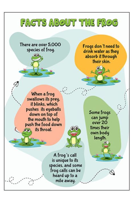 Frog Lesson Plans, What Do Frogs Eat, Frog Facts For Kids, Frog Poem, Pond Life Theme, Preschool Bugs, Fun Printables For Kids, Frog Facts, Frog Coloring