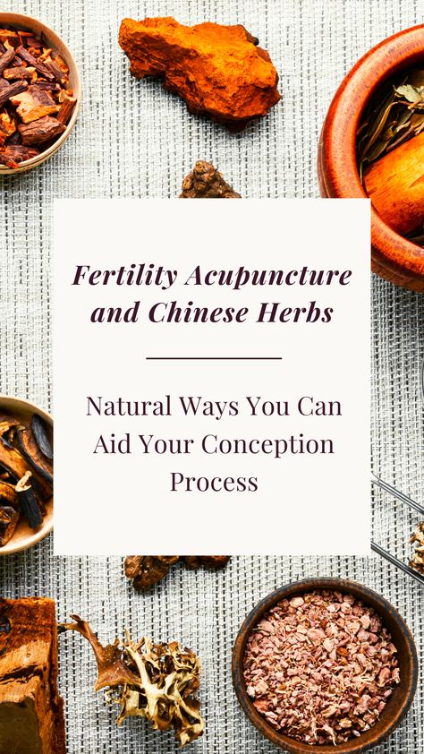 We reached out to Mike Berkley in NYC to tell us more about Chinese herbs for fertility and IVF acupuncture. he explains some of the science of fertility and how it naturally occurs. An advocate of emulating this natural process as closely as possible, he’ll introduce us to why using herbs and acupuncture can be beneficial for fertility. #fertility #acupuncture #chinesemedicine #fertilityacupuncture Chinese Herbs For Fertility, Acupuncture For Fertility, Male Fertility Diet, Fertility Acupuncture, Herbs For Fertility, Acupuncture Fertility, Fertility Support, Fertility Supplements, Fertility Foods