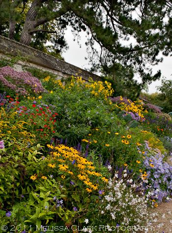 Flower Bed On A Hill Sloped Yard, Larkspur Garden, Autumn Border, Oxford Botanic Garden, Steep Gardens, Flower Garden Pictures, Lake Landscaping, Sloped Backyard Landscaping, Landscaping A Slope