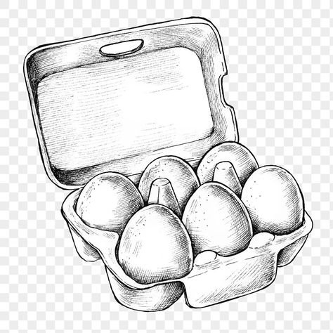 Egg Drawing Art, Egg Sketch, Egg Tattoo, Egg Drawing, Egg Png, Draw A Box, Composition Drawing, Funny Eggs, Carton Design