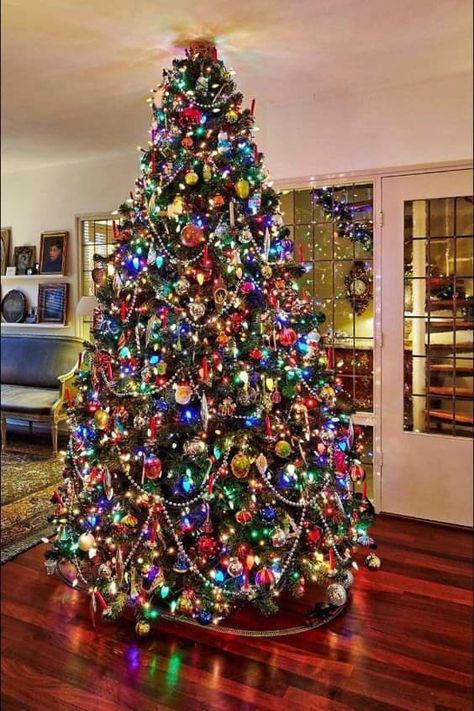 Multi Color Lights Christmas Tree Ideas, Multi Colored Light Christmas Tree Ideas, Colored Light Christmas Tree Ideas, Multi Colored Christmas Tree, Christmas Tree Colored Lights, Christmas Tree With Coloured Lights, Decoration Ideas Christmas, Christmas Extravaganza, Decorated Trees