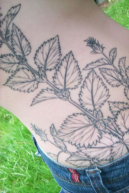 stinging nettle tattoo Nettle Tattoo, Rock Etching, Line Drawing Tattoos, Plant Illustrations, Botanical Line Drawing, Nature Tattoo, Botanical Drawing, Stinging Nettle, Rabbit Tattoos