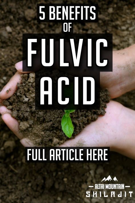 hands scooping up soil with a green shoot. text reads '5 benefits of fulvic acid' full article here Fulvic Minerals Benefits, Fulvic Acid Benefits, Amino Acids Benefits, Shilajit Benefits, Humic Acid, Fulvic Acid, Alpha Lipoic Acid, Learning Techniques, Migraine Headaches