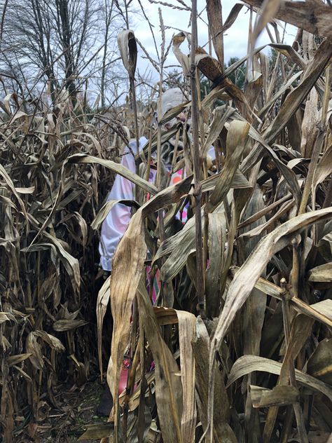 Clown, creepy, corn stalks, Halloween, corn maze, corn maze ideas, stalkers, Halloween decorations, scary Halloween Corn Maze Aesthetic, Haunted Corn Maze Ideas, Corn Maze Ideas, Maze Ideas, Clown Creepy, Halloween Decorations Scary, Scary Maze, Halloween Library, Haunted Corn Maze