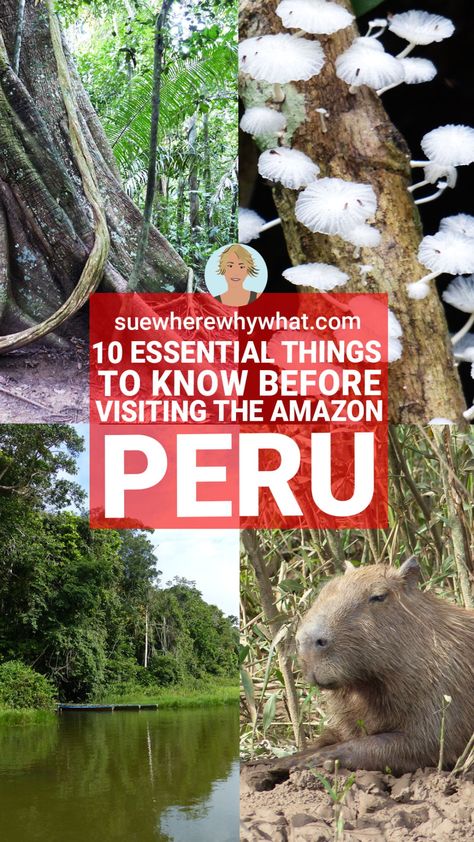 Your Ultimate Guide to visiting the Amazon Rainforest in Peru. The Amazon Rainforest is home to over 5 million species of animal, plant and insect which live on our planet. Peru has the most biodiverse, well protected and easily accessible region. If you have ever wanted to see it for yourself, here I provide you with everything you need to know before visiting the Amazon in Peru. Amazon Peru Travel | Amazon Peru Jungle | Amazon | Amazon Rainforest Peru | Peruvian Amazon | Amazon Peru Forest. Amazon Rainforest Outfits Women, Jungle Amazon, Peru Rainforest, Peru Trip Planning, Amazon Rainforest Travel, Peruvian Rainforest, Peru Jungle, Peru Amazon, Peru Amazon Rainforest