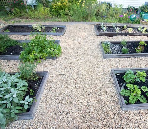 Raised Vegetable Garden with Pea Gravel DIY - Garden With Pea Gravel, Raised Vegetable Garden, Diy Wood Planters, Playground Landscaping, Pea Gravel Patio, Enclosed Garden, Raised Vegetable Gardens, Garden Boxes Raised, Vertical Garden Design