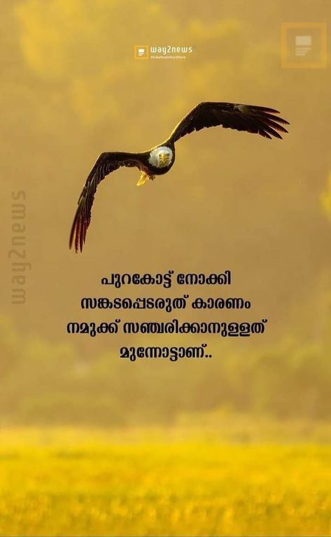 Malayalam Good Morning Quotes, Good Morning Quotes Malayalam, Gd Nt, Mary Pictures, Foodie Instagram, Malayalam Quotes, Jesus And Mary Pictures, Quotes Lyrics, Good Morning Cards