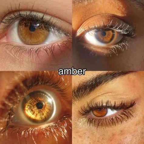 Brown Eye Color Chart, Pretty Eyes Brown, Brown Eyes With Gold Flecks, Dark Amber Eyes, 2 Different Color Eyes, Yellow Eye Color, Down Turned Eyes, Hazel Eye Color, Amber Brown Eyes