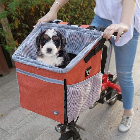 RAYMACE-Dog-Bike-Basket-Bag Dog Bike Seat, Pet Bike Basket, Dog Bike Carrier, Dog Bike Basket, Dog Bike, Airline Approved Pet Carrier, Cats Happy, Pet Travel Carrier, Tallest Dog