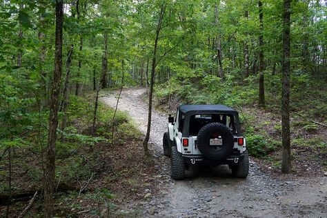 Offroad Trails in Arkansas Ohv Trails, Eureka Springs Ar, Jeep Trails, Overland Gear, Arkansas Travel, Jeep Photos, Four Wheeling, Hot Springs Arkansas, Jeep Jl