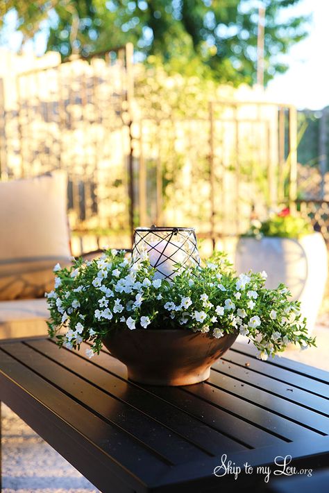 How to make an easy floral outdoor centerpiece luminary  #make #luminary #centerpiece skiptomylou.org Luminary Centerpiece, Patio Lighting Diy, Outdoor Table Centerpieces, Porter House, Deck Decor, Porch Accessories, Pinterest Wedding, Diy Flower Pots, Decoration Plante