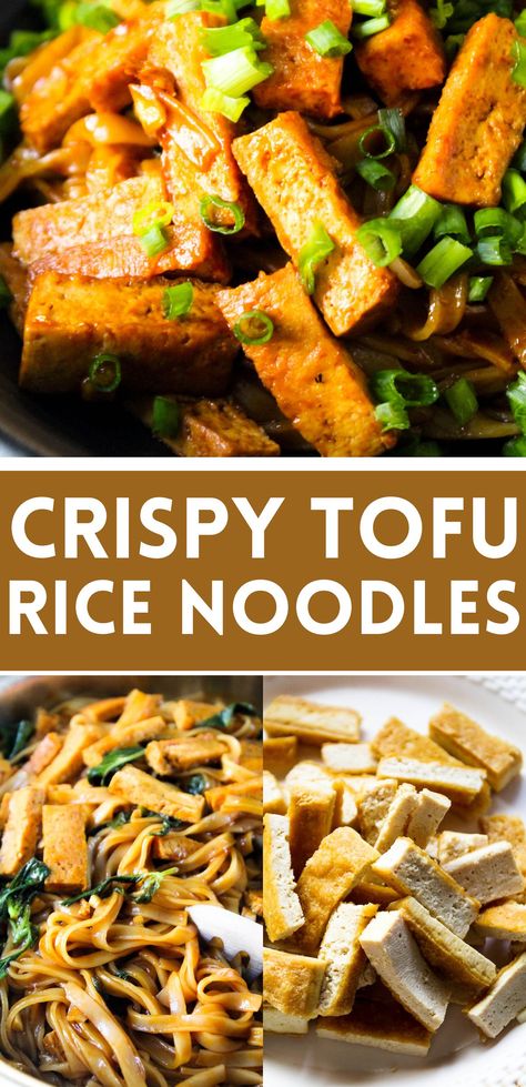 Easy, delicious and quick basil tofu rice noodles. Vegan, gluten free and so simple to make, these rice noodles are coated in the best ever asian style sweet and spicy sauce tossed in lots of fresh basil, garlic & crispy strips of pan fried tofu. #vegan #comforting #rice #noodles #recipe #quick #easy #delicious #tofu #fried #asian #chinese #comfort #dinner #lunch #basil #garlic #drunken #pad #kee #mao #gluten #free #healthy Rice Noodles With Tofu, Rice Noodle Tofu Recipes, Tofu With Rice Noodles, Rice Noodle And Tofu Recipes, Tofu And Rice Noodles, Tofu With Noodles, Tofu Noodles Recipes, Tofu Rice Noodles, Tofu And Noodles Recipes