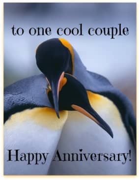 Happy Anniversary Meme, Happy Anniversary Funny, Happy Anniversary Messages, Anniversary Wishes Quotes, Anniversary Quotes Funny, Happy Wedding Anniversary Wishes, Happy Anniversary Quotes, Wedding Anniversary Quotes, Shabby Chic Design