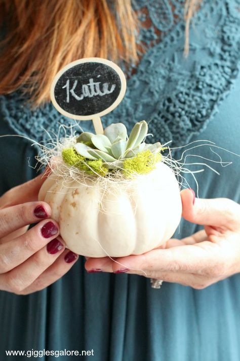 Fall Succulent Pumpkin Party Favor Mini Pumpkin Gift Ideas, Fall Party Favors For Adults, Fall Party Favors For Women, Pumpkin Seed Party Favor, Mini Pumpkin With Succulents, Mini Pumpkin Succulent Diy, Pumpkin With Succulents Centerpiece, Peppermint Play Dough, How To Make Pumpkin Succulent Centerpiece