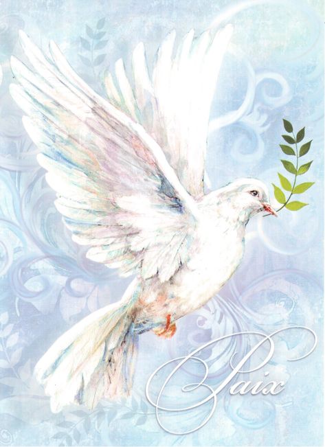 Peace In French, Dove Aesthetic, Watercolor Dove, Dove Drawing, Dove Painting, Christian Graphics, Dove Pictures, Lotus Art, Diy Watercolor Painting