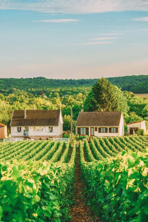 9 Beautiful Wine Regions In France You Need To Holiday In (6) Bucket List Europe, Avatarul Aang, Countryside Village, Regions Of France, Best Wine, Visit France, French Culture, Beautiful Places Nature, Wine Region