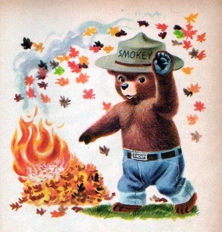 Famous Bears, Woodsy Owl, Smokey The Bear, Smokey Bear, Richard Scarry, Smokey The Bears, Bear Illustration, Golden Book, Classic Image