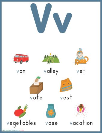 Build phonics skills and practice beginning sound V with your children! This worksheet features pictures of things that begin with the letter V. Teachers and parents can use this printable to introduce the concept of identifying words that start with the letter V. The beginning letter V is highlighted in blue to show Letter V Worksheets, Sight Words Worksheets, Pictures Of Things, V Words, Short Sentences, Kindergarten Phonics Worksheets, Printable Alphabet Letters, Princess Birthday Invitations, Sound Words